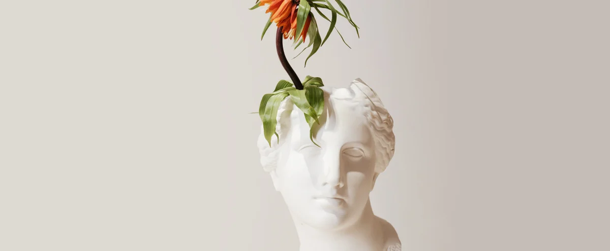 header - plant - buste - hoofd - bloem - kapper - unsplash