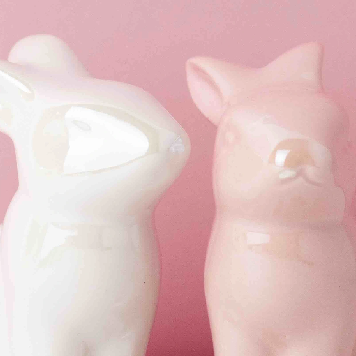 Header - paashaas - konijn - pasen - pexels