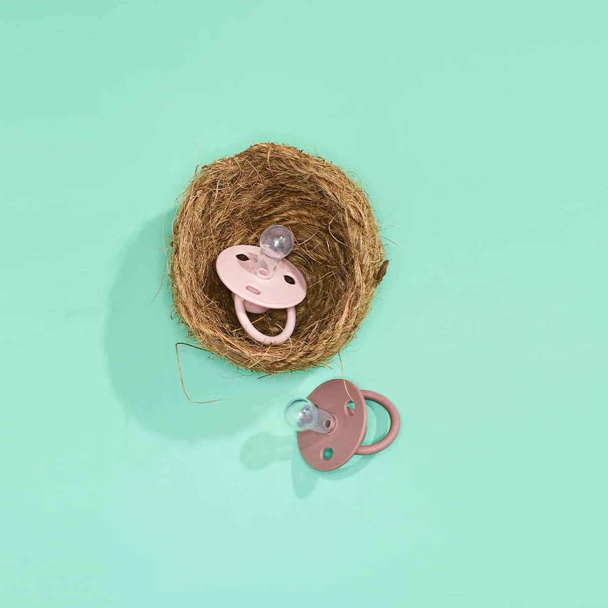 Nest - Baby - Speen - Header -Tom ten Seldam