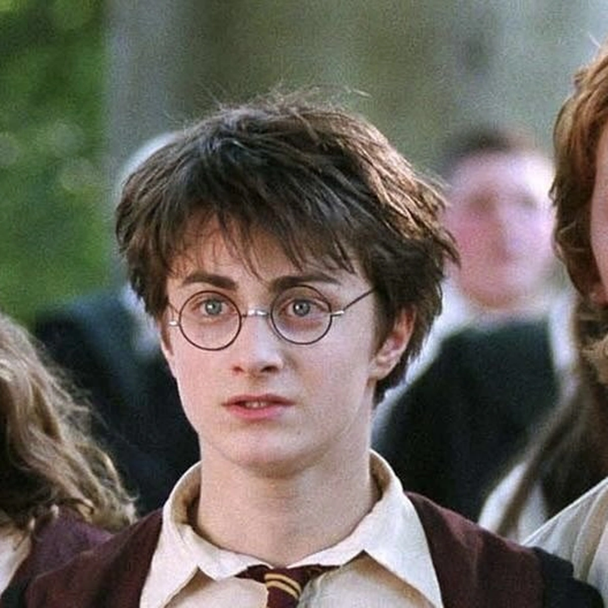 Harry Potter Warner Bros. 