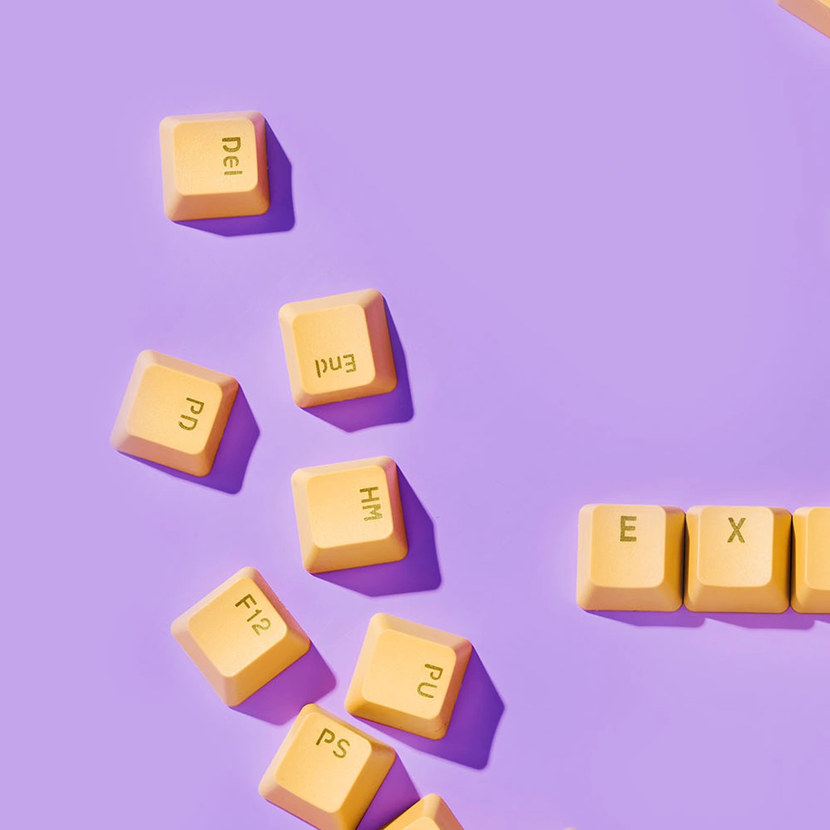 hero - exit - carriere - computer - tech - tom ten seldam