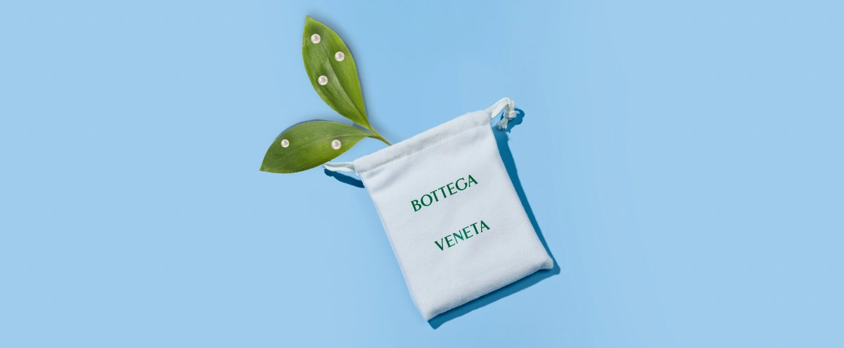 header - bottega - plant - tom ten seldam