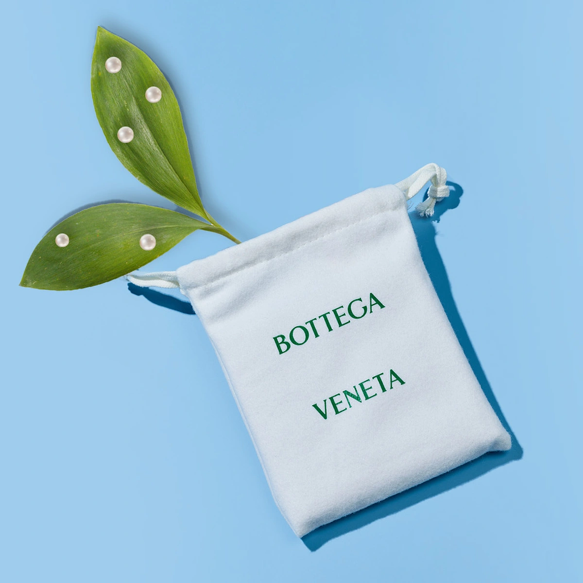 header - bottega - plant - tom ten seldam