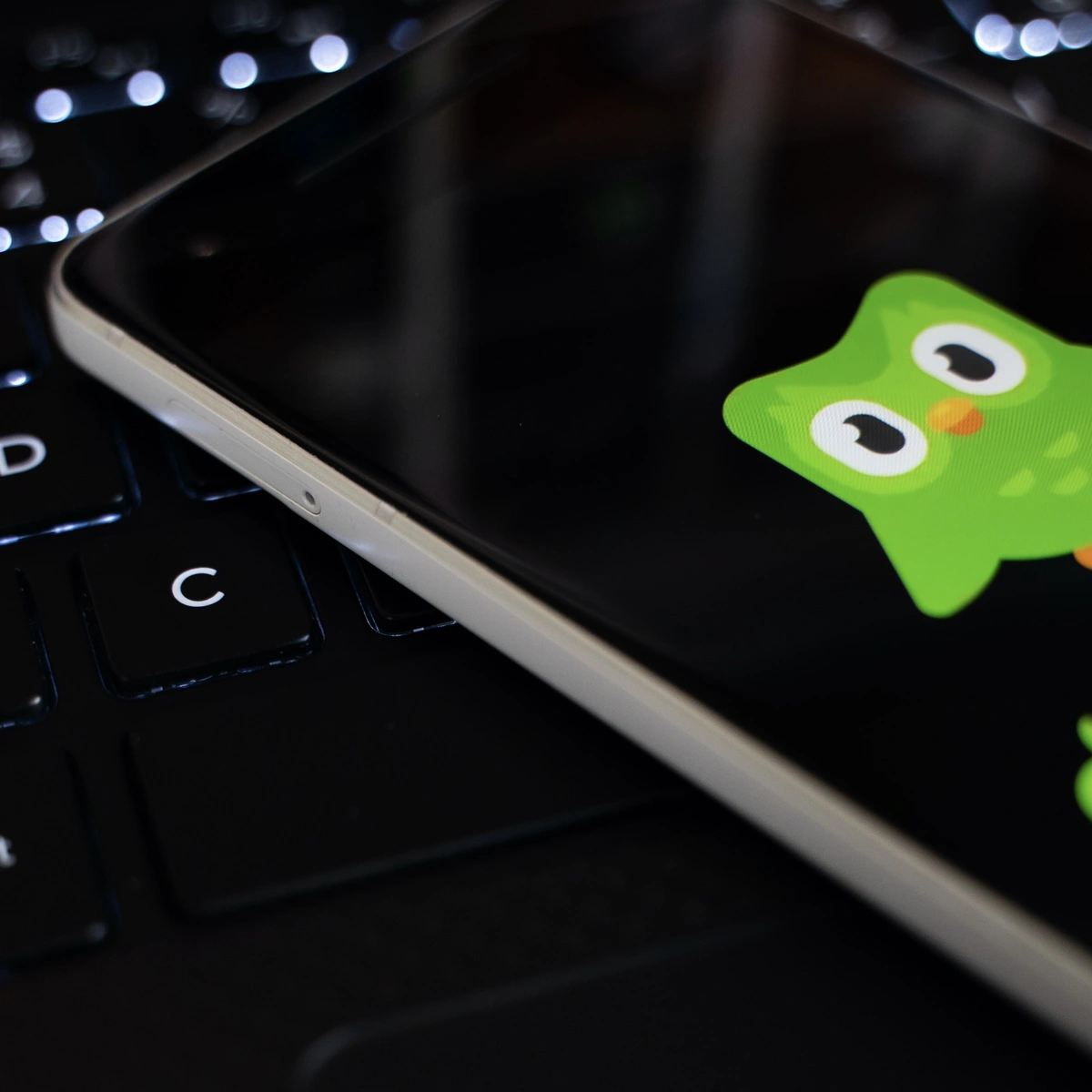 Header - DuoLingo - telefoon - Shutterstock