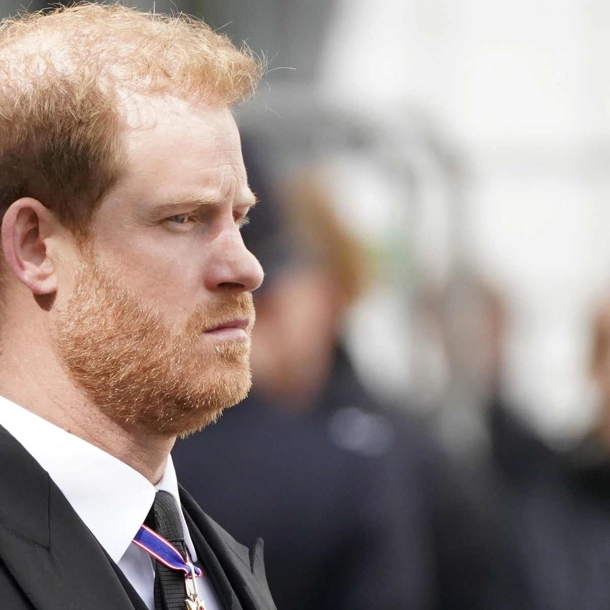 Header - Harry of sussex - brunopress