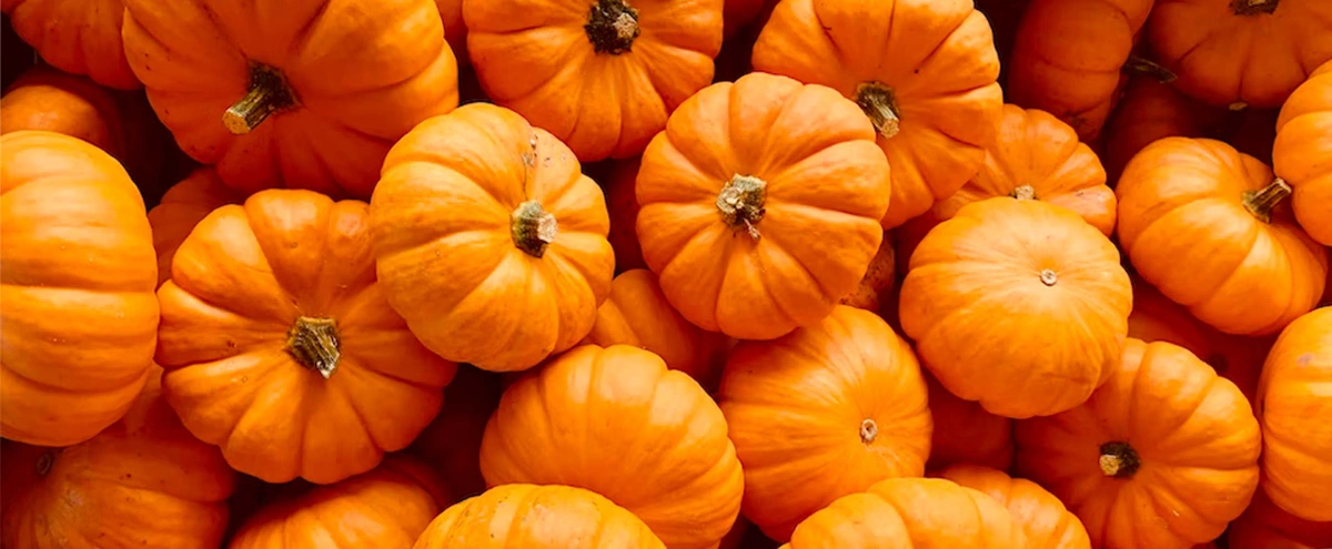 hero - pompoen - halloween - herfst - oranje - unsplash