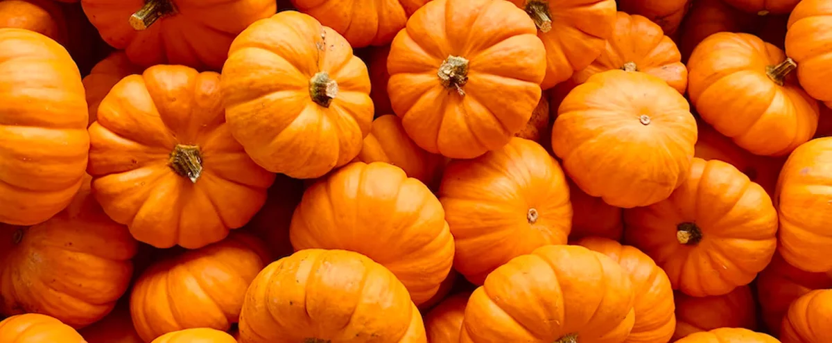 header - pompoen - halloween - herfst - oranje - unsplash