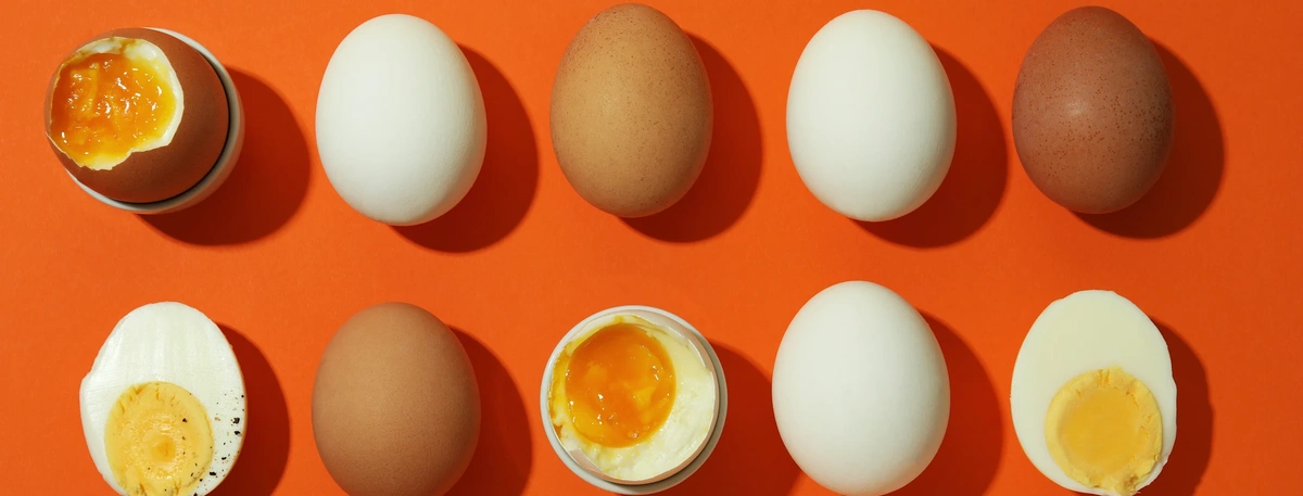 Header - eieren - pellen - Shutterstock