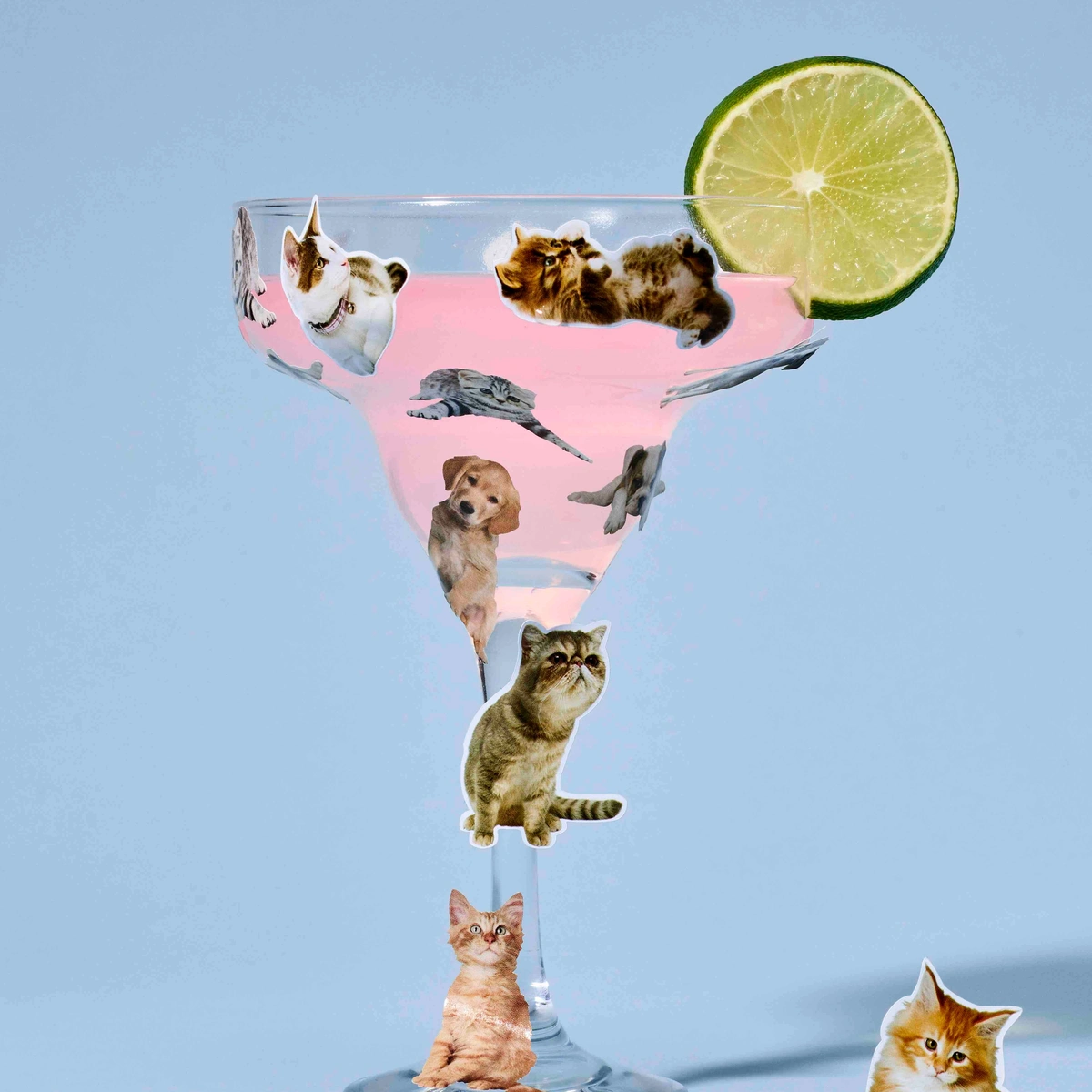 header - cocktail - glas - katten - stickers - limoen