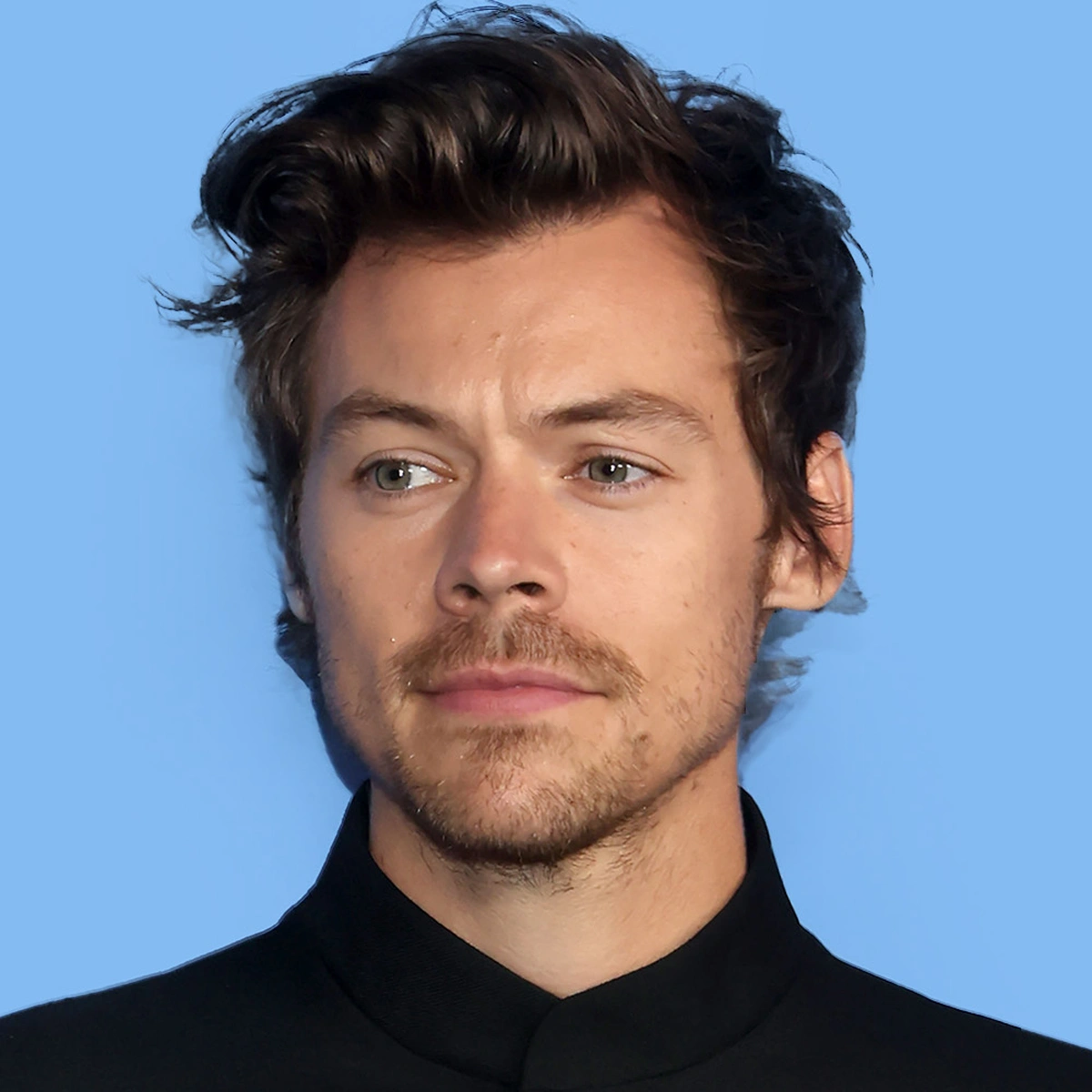 header - harry styles - bruno press