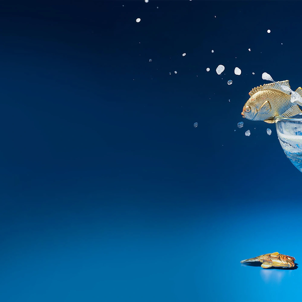 Hero - sterrenstof - sterrenbeeld - vissen