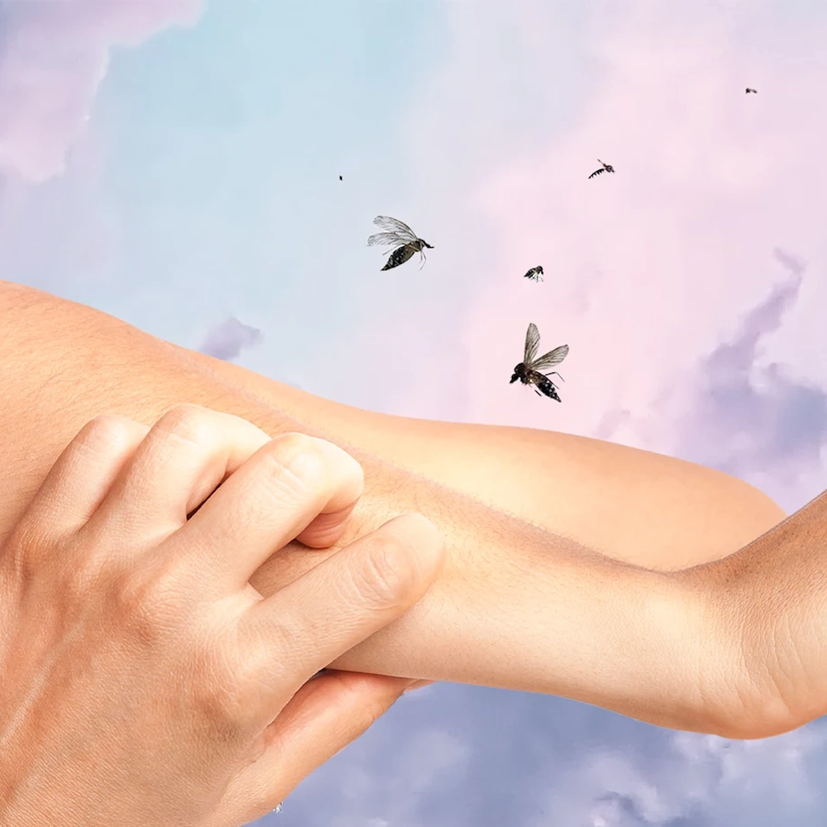 Header - muggen - krabben - dromen - slapen - jeuk - Shutterstock