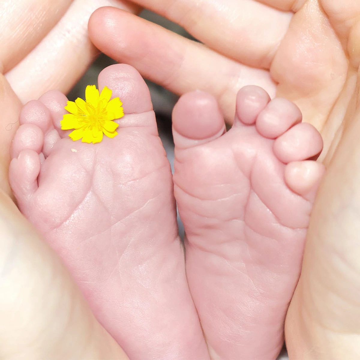 header - baby - voeten - geboorte