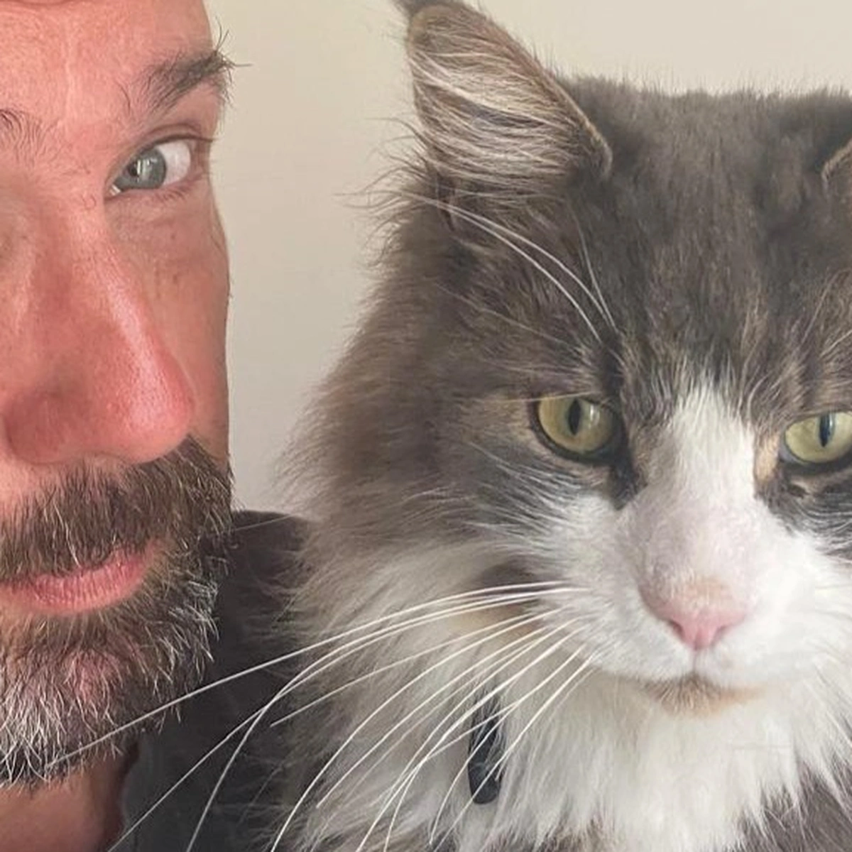 marcel langedijk en kat - header