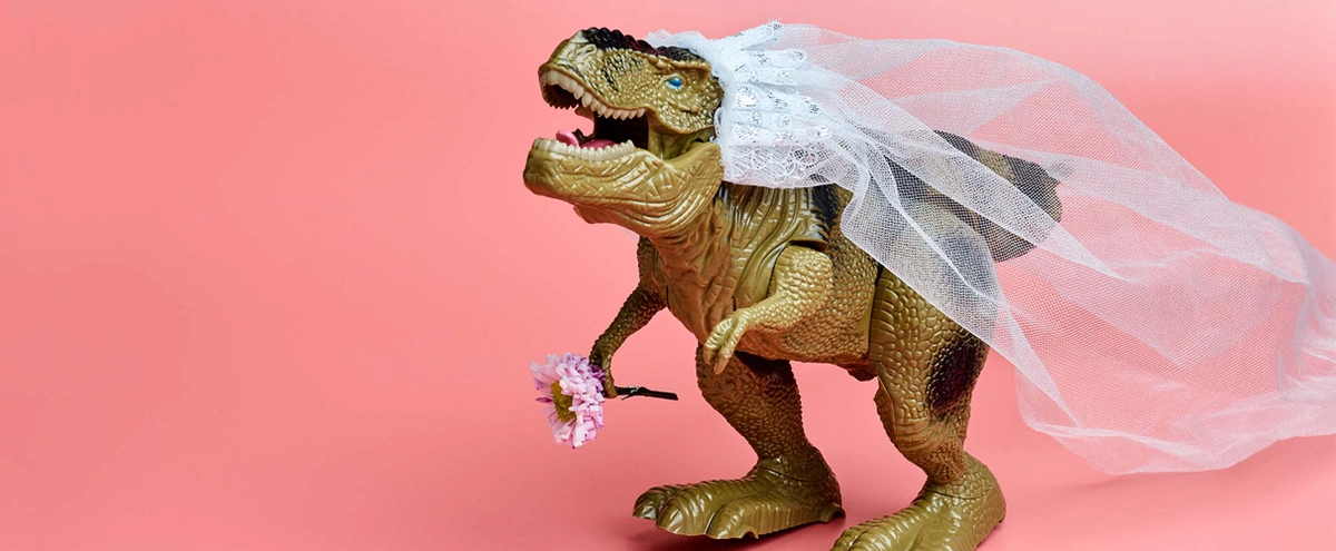 header - tindertrauma - dino - trouwen - roze - tom ten seldam