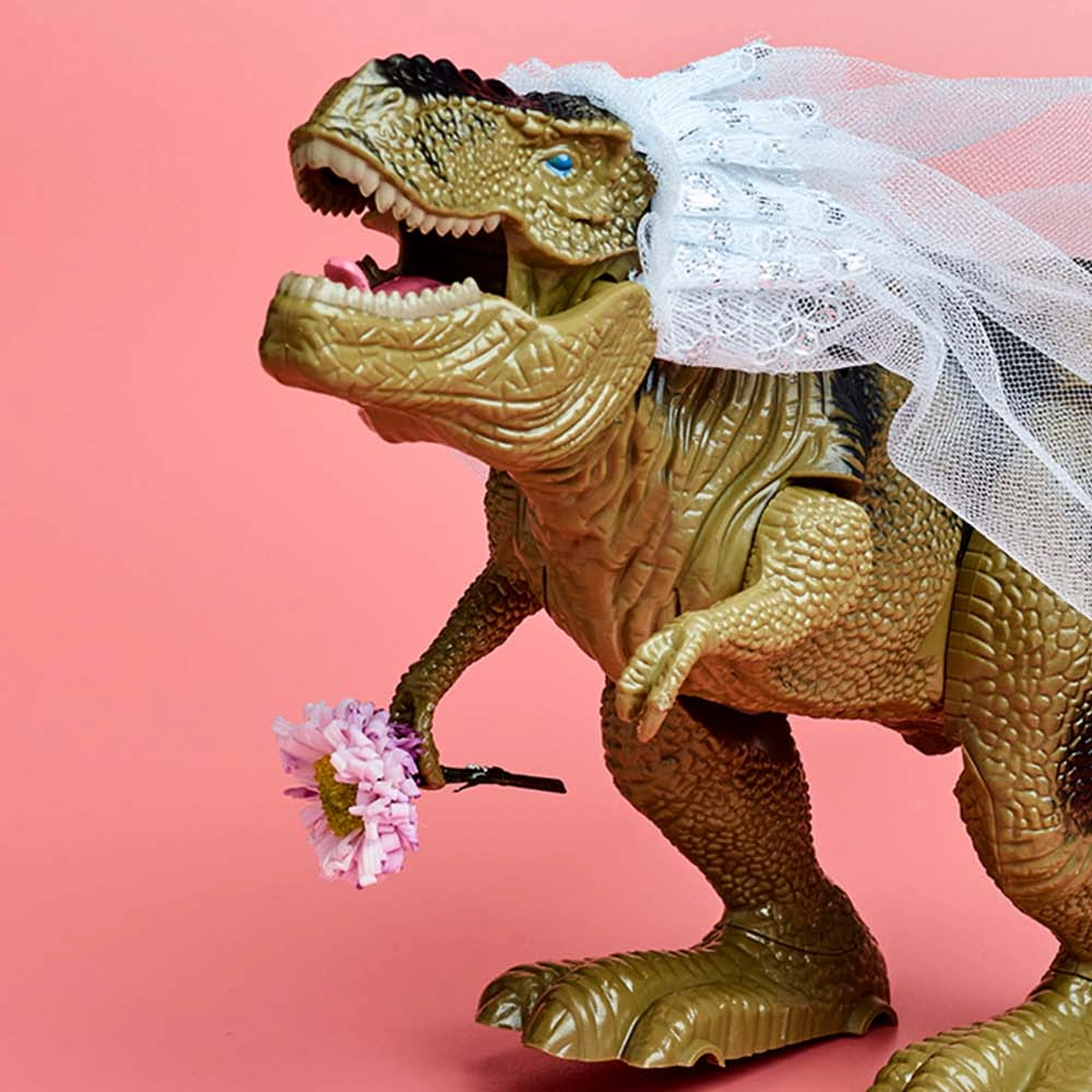 header - tindertrauma - dino - trouwen - roze - tom ten seldam