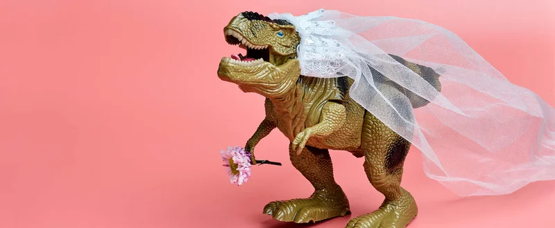 header - tindertrauma - dino - trouwen - roze - tom ten seldam