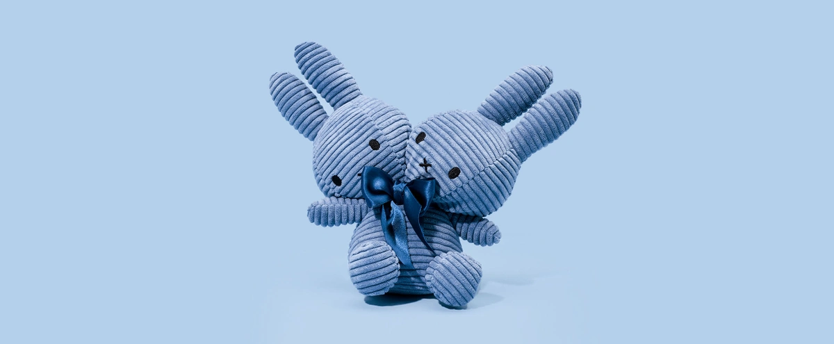 header - kind - oh baby - tweeling - lievelings - nijntje - tom ten seldam