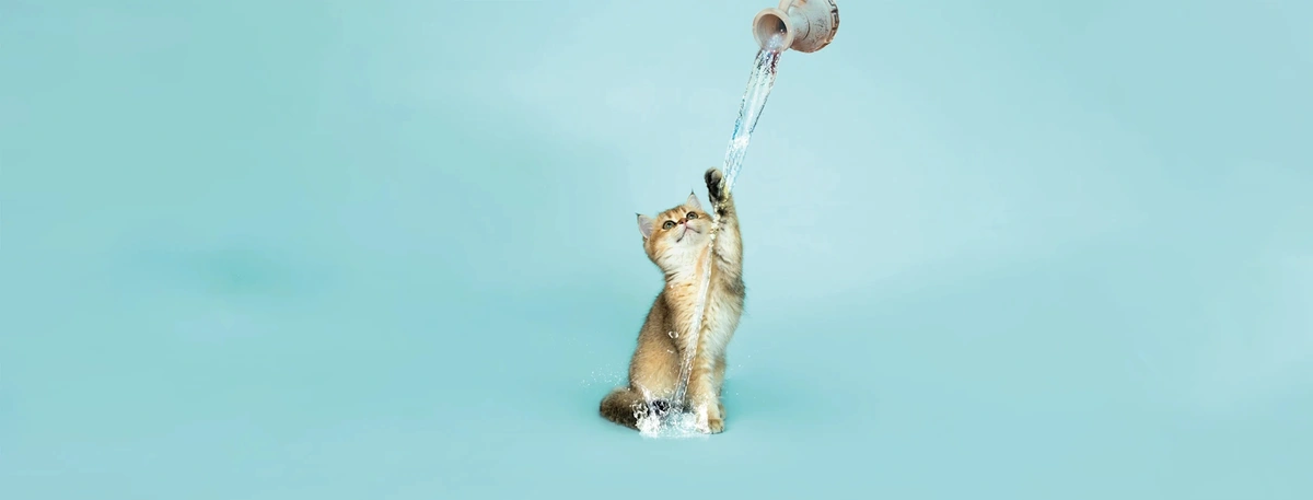 2023 - 04 BS - Header - Horoscoop - Waterman - Oh Baby