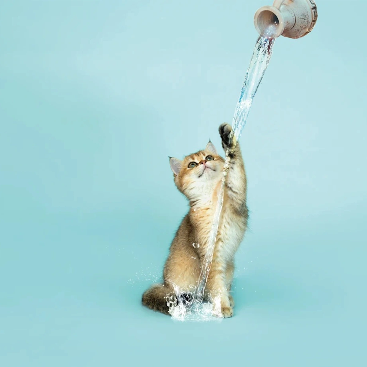 2023 - 04 BS - Header - Horoscoop - Waterman - Oh Baby