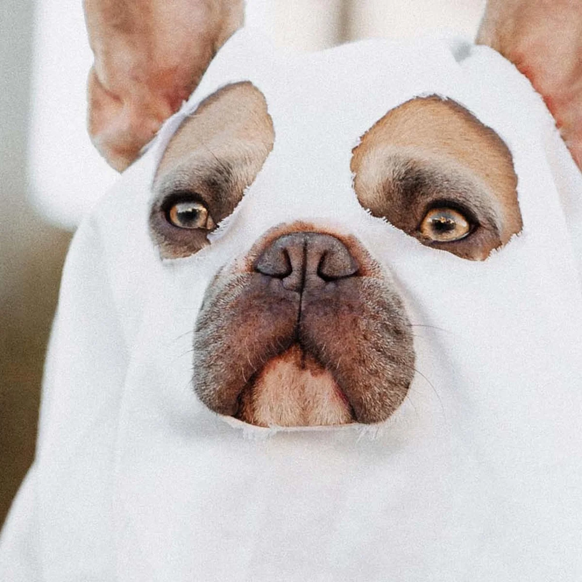 header - kostuum - halloween - pompoen - heks - unsplash