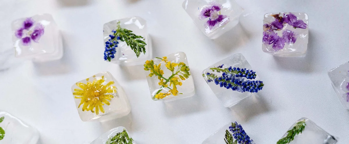 Header - ijsklontjes - bloemen