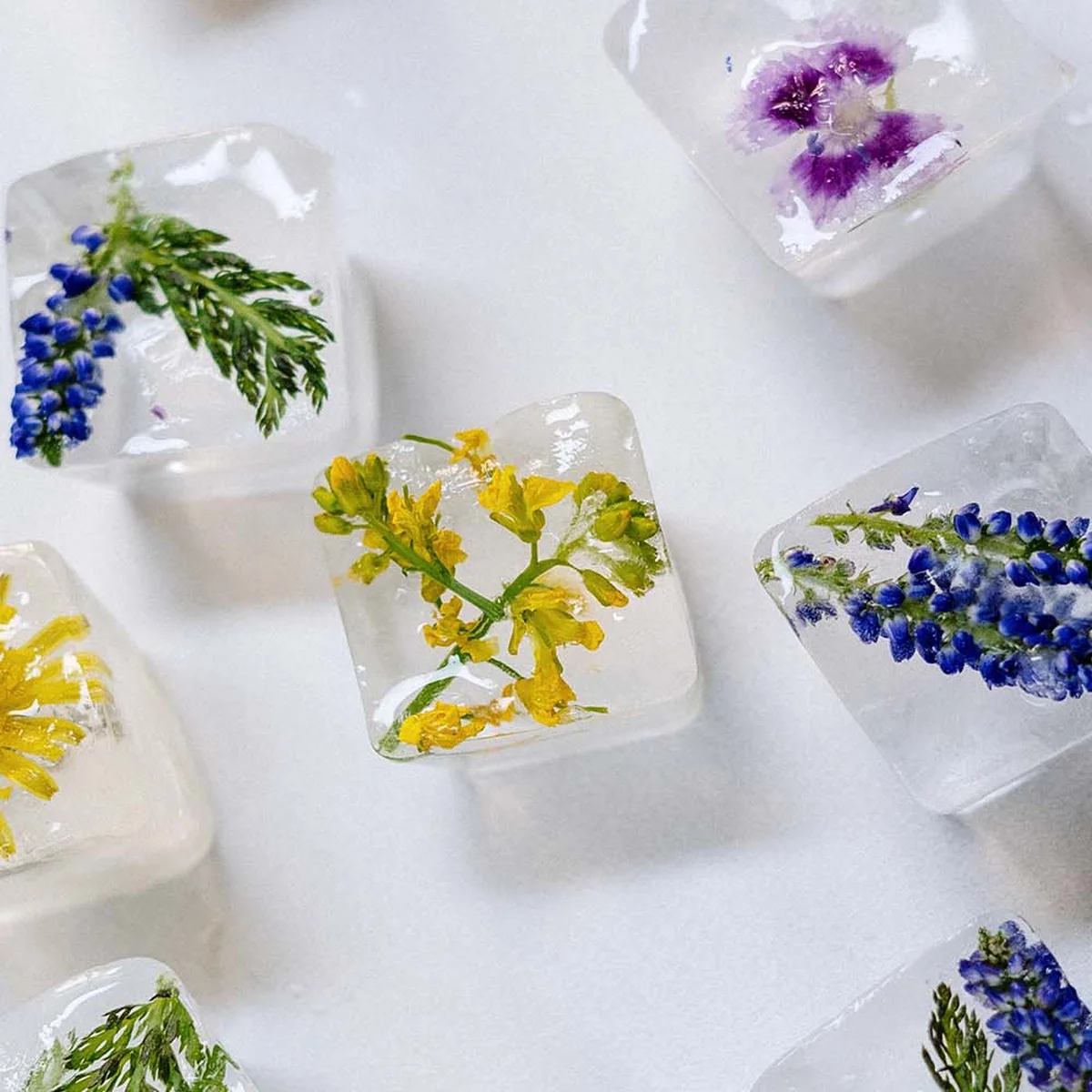 Header - ijsklontjes - bloemen