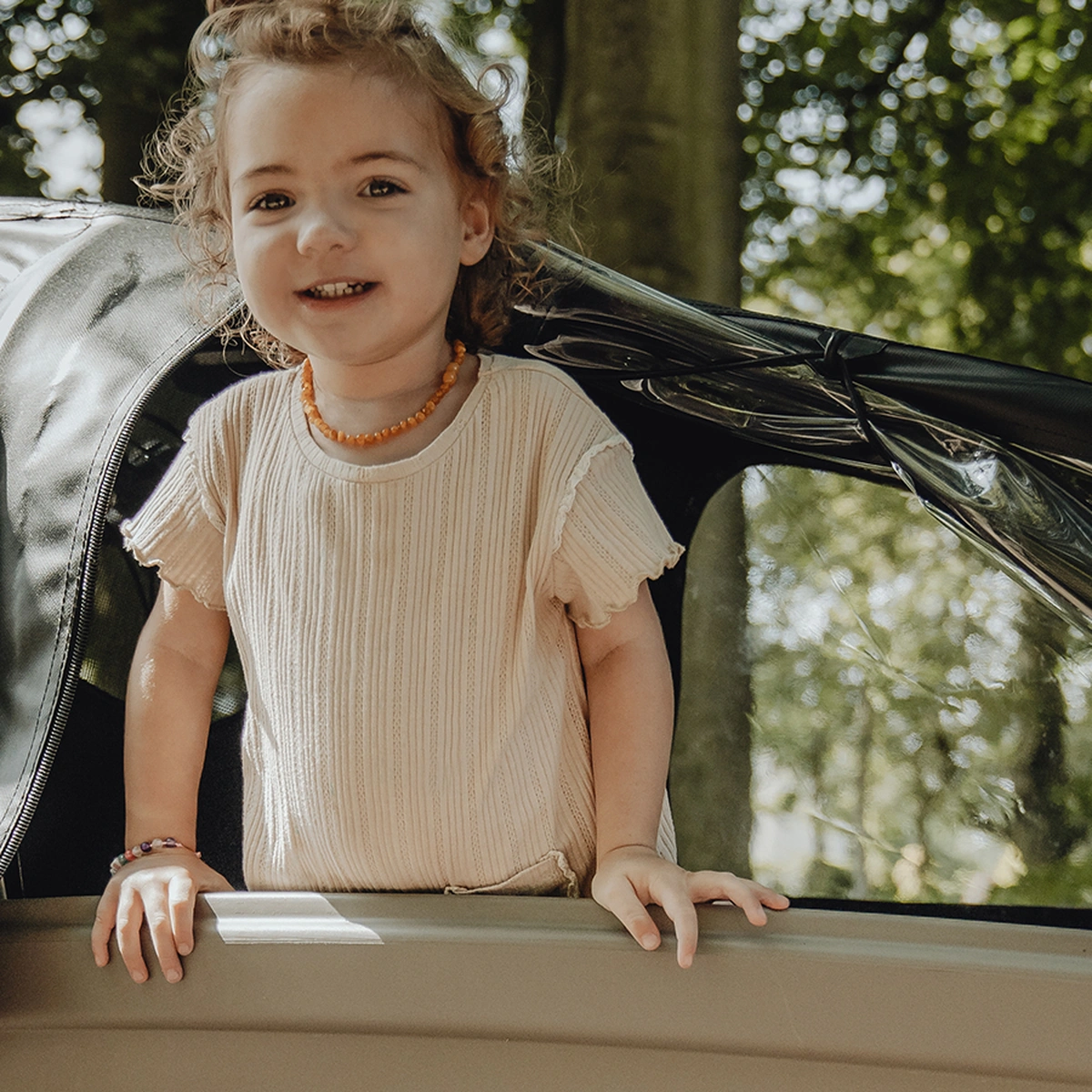 Header - Dolly Bakfietsen - bakfiets