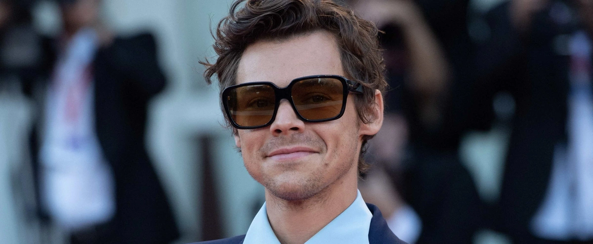 Header - Harry Styles - BrunoPress