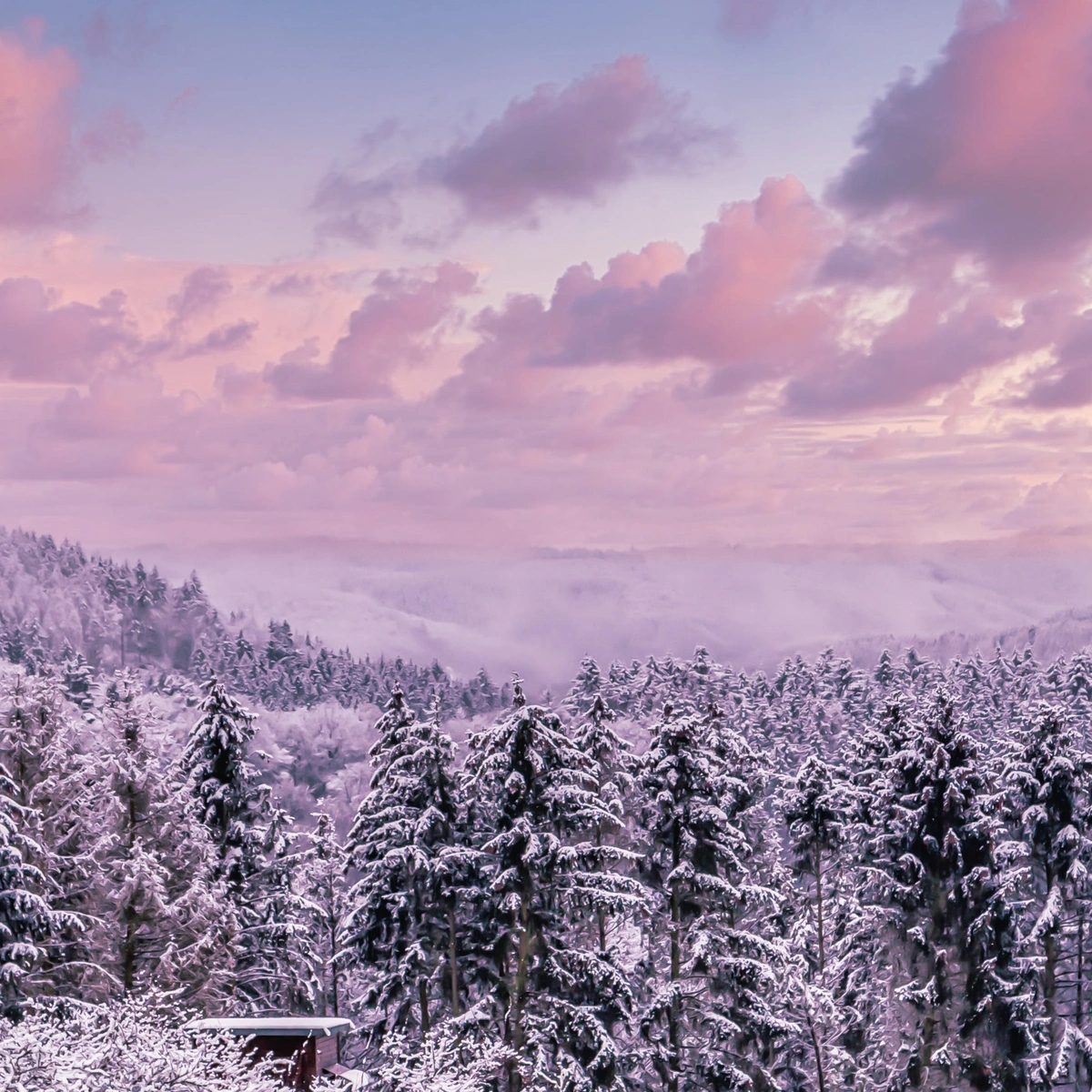 sneeuw, weekend, winter, vakantie, weekend, pexels