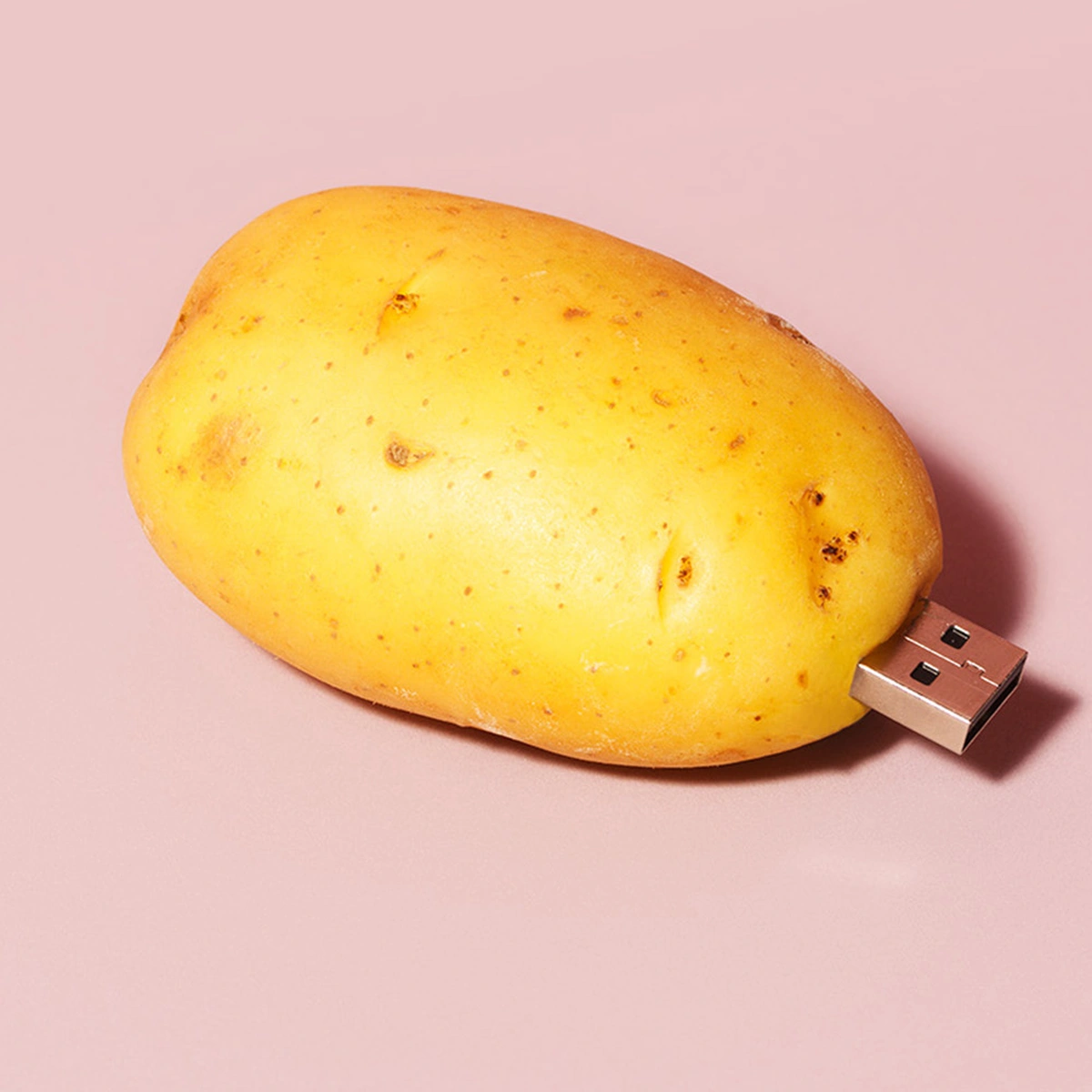header - usb - aardappel - frank brandwijk