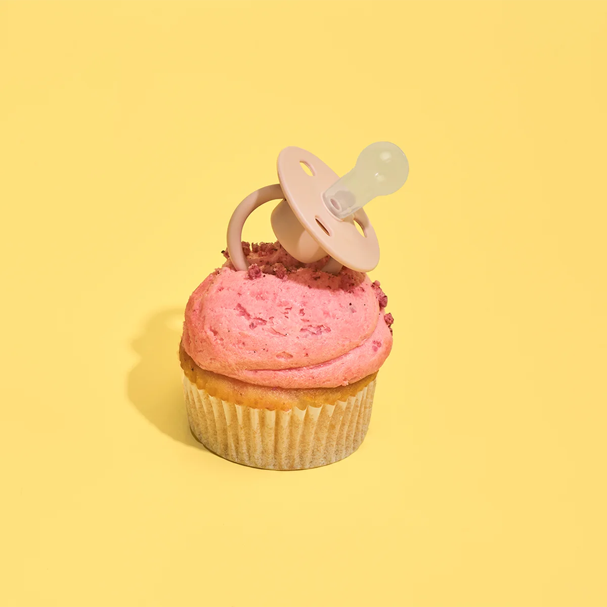 Speen Cupcake baby Tom ten Seldam Header