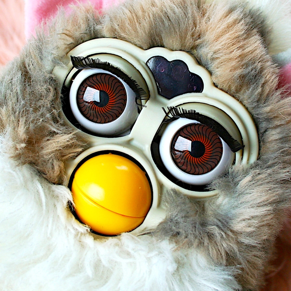 Header - Furby - speelgoed - Shutterstock