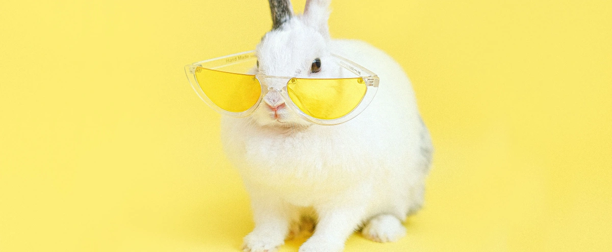 Konijn hitte zonnebril