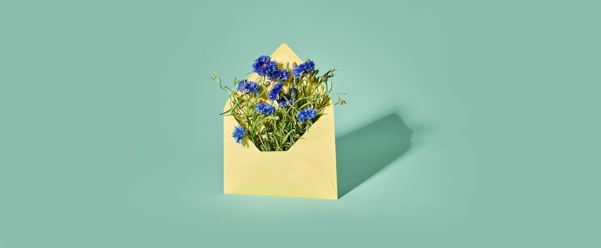 header - bloemen - envelop - post - tom ten seldam