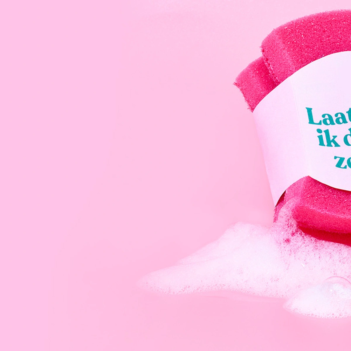 hero - spons - schoonmaken - herfstschoonmaak - tom ten seldam