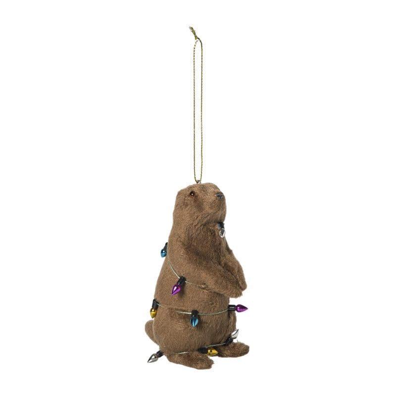 Bever Xenos