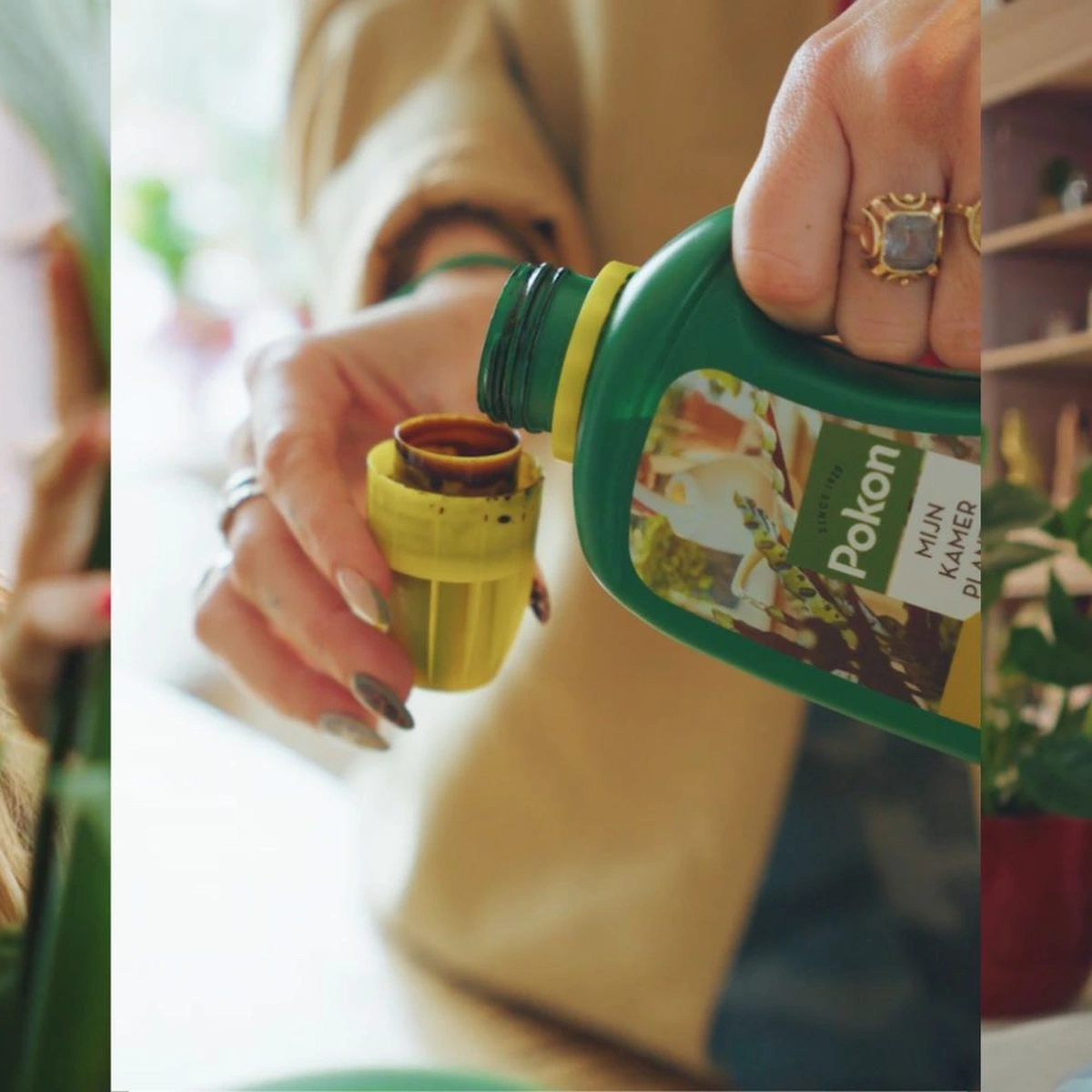 Header Pokon Kimmy de Weerd