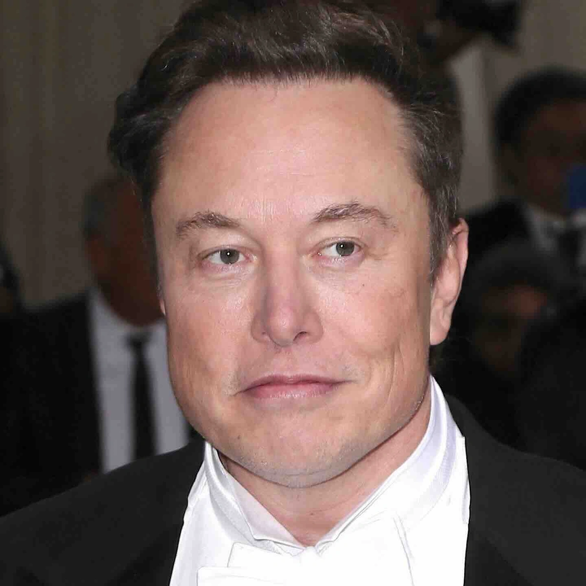 Header - Elon Musk - BrunoPress