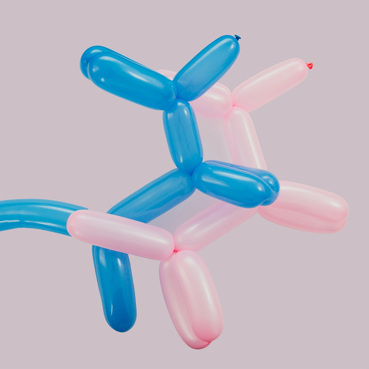 header - seks - hondjes - kletsen - ballon - ketsen - pexels