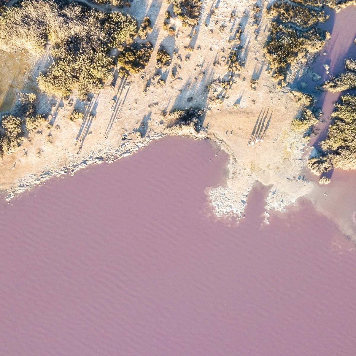 Header/hero - roze meer - water - Torrevieja - Pink Lake - Unsplash