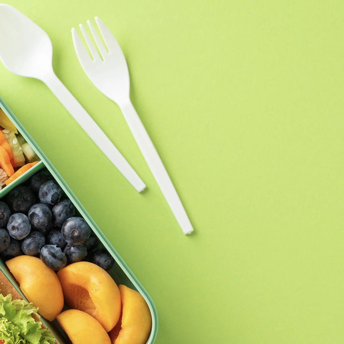 shutterstock, lunchbox, brooddoos, broodtrommel, lunch, snack