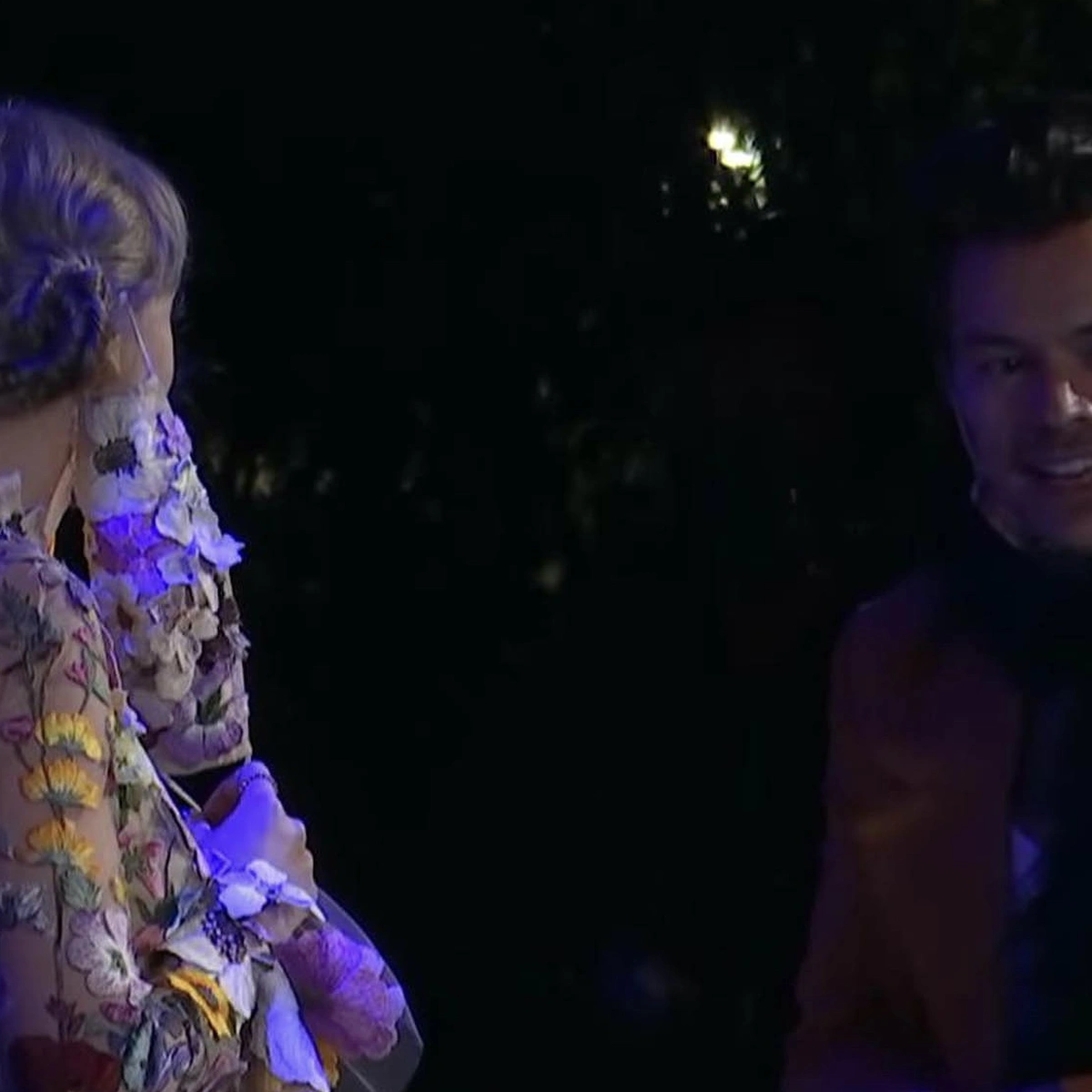 Header - Taylor Swift en Harry Styles - Brunopress