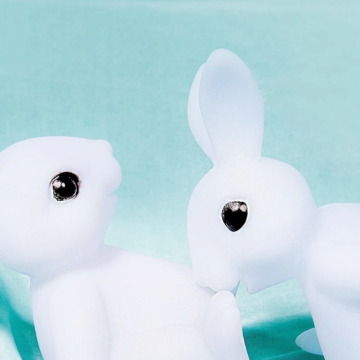 1637335836 konijntjes-header2