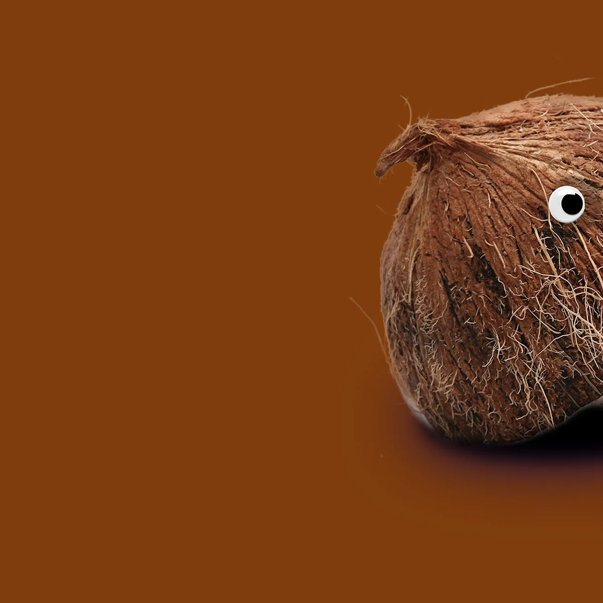 header - bounty - eten - oogjes - unsplash