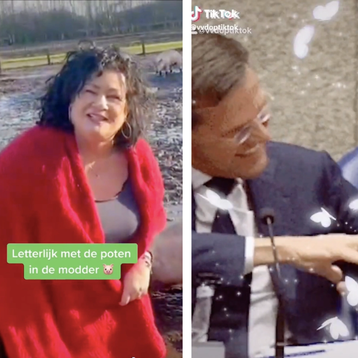 Header - TikTok - politici