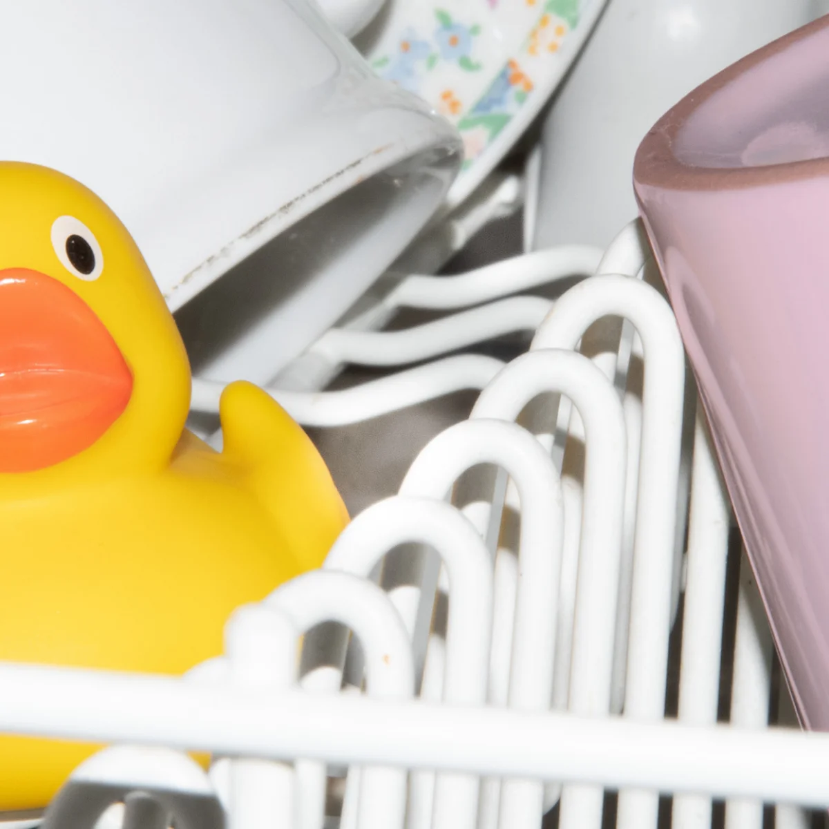 header - Sun - schoonmaken - vaatwasser - badeend