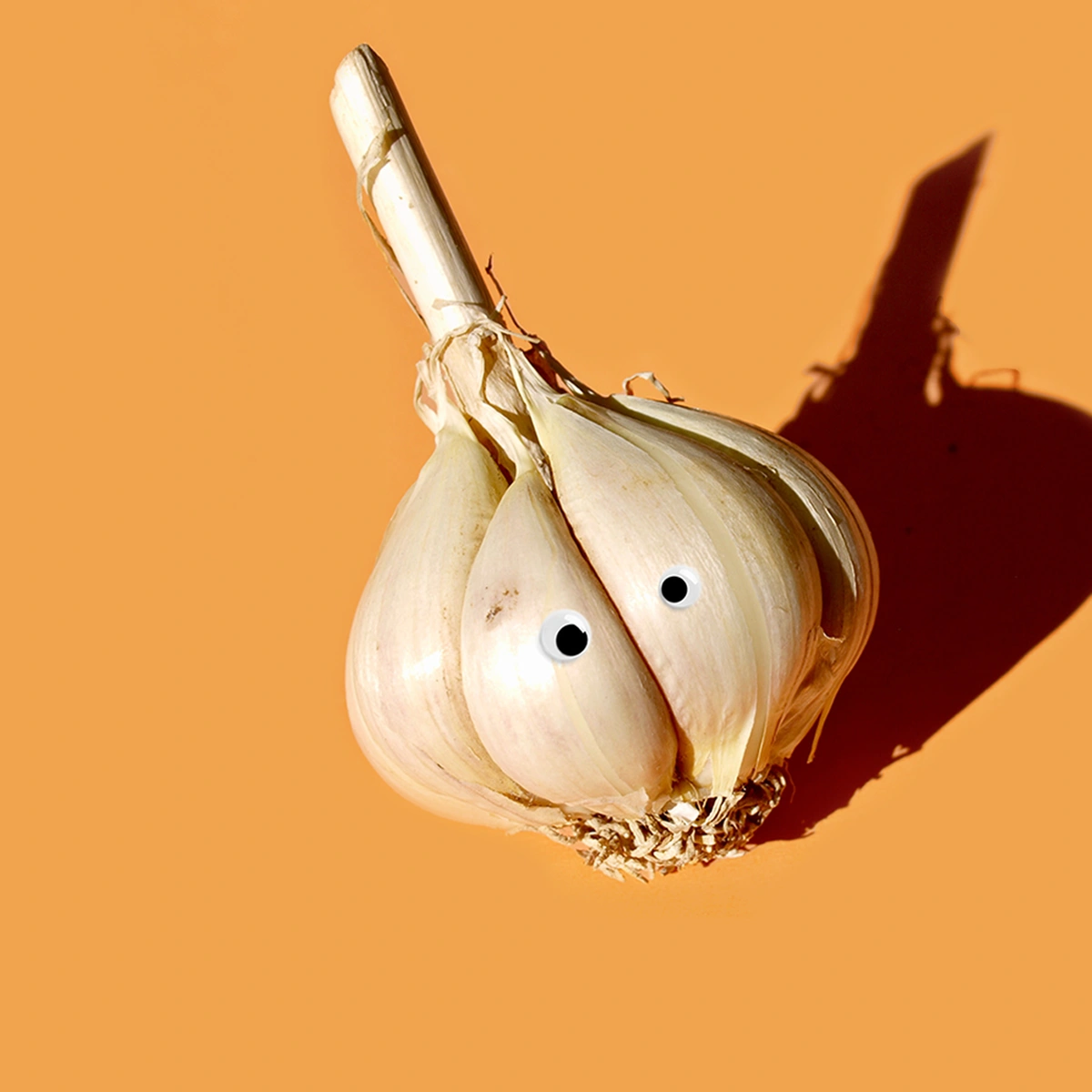 header - knoflook - eten - unsplash