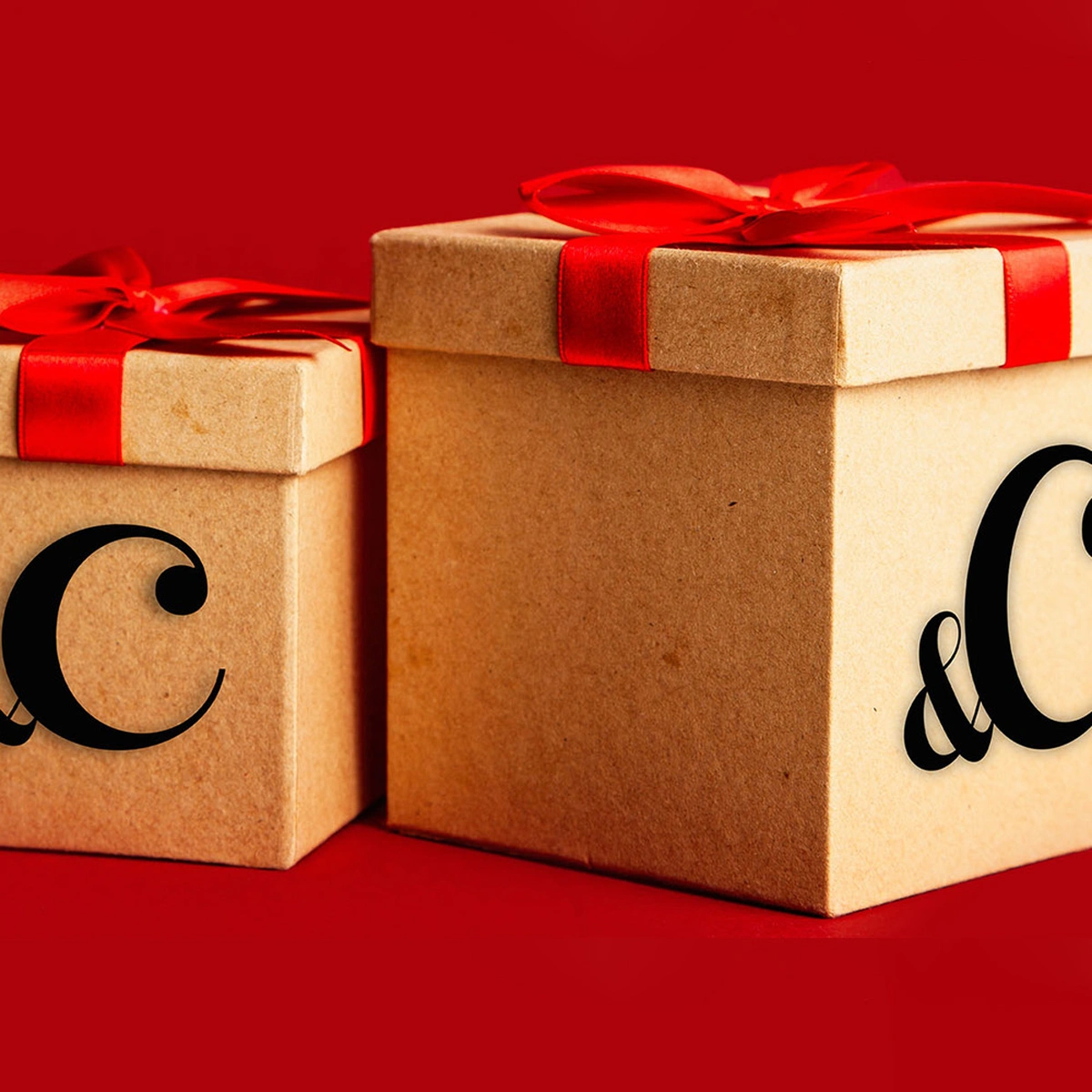 100- nl sinterklaas banner