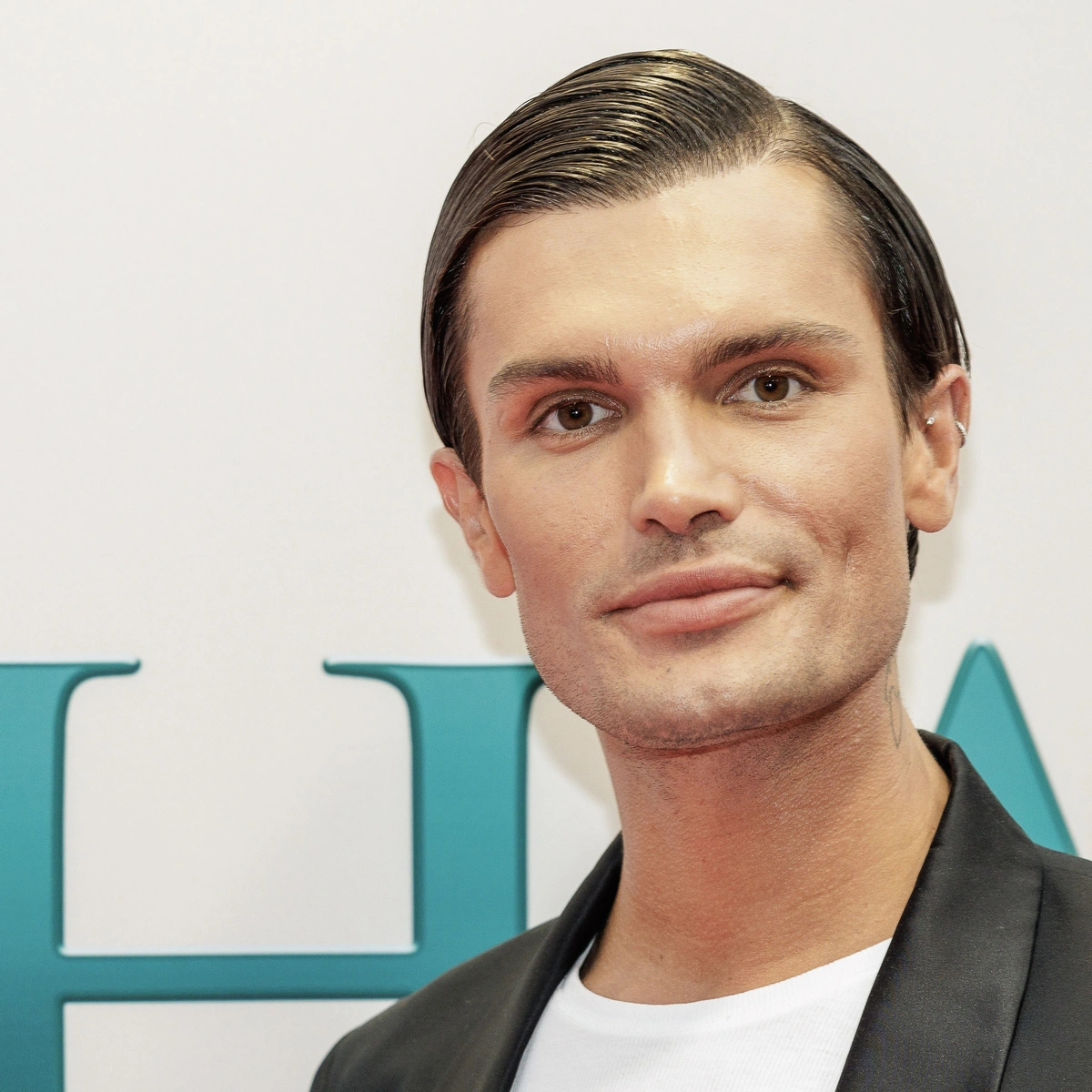 Koen Pieter van Dijk, NL beeld